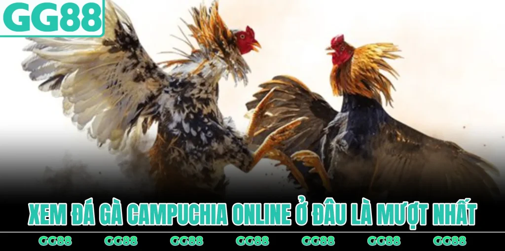 xem-da-ga-campuchia-online-o-dau-la-muot-nhat